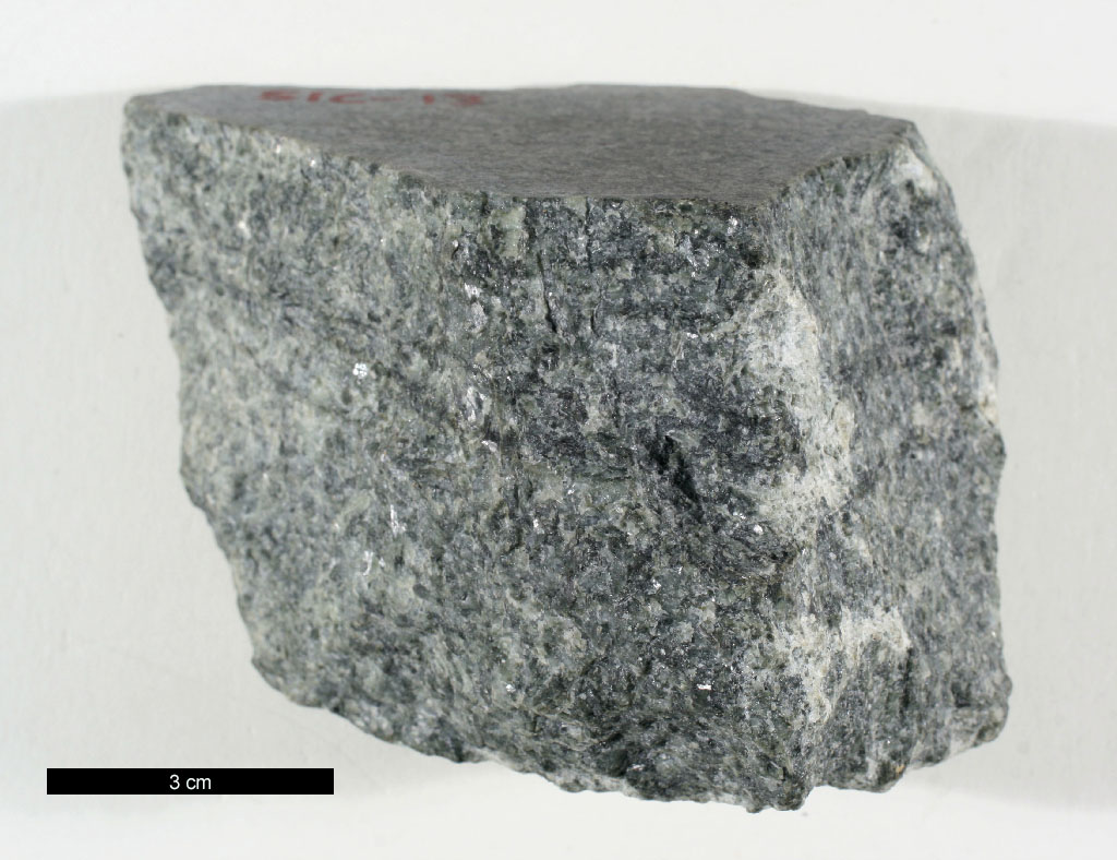 Plag-Rich Gabbro Hand Sample