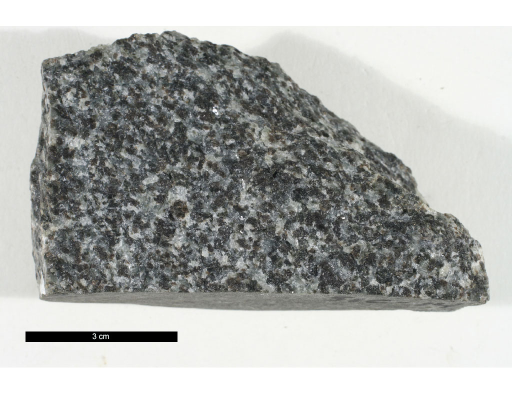 Cpx-Rich Gabbro Hand Sample