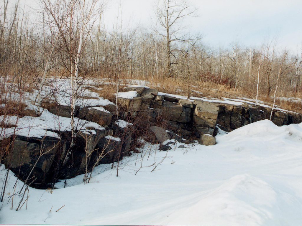 Gabbro Field Photo