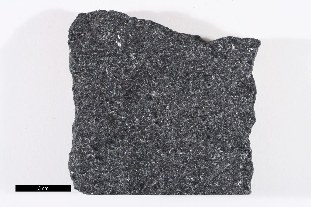 Bushveld Gabbronorite Hand Sample