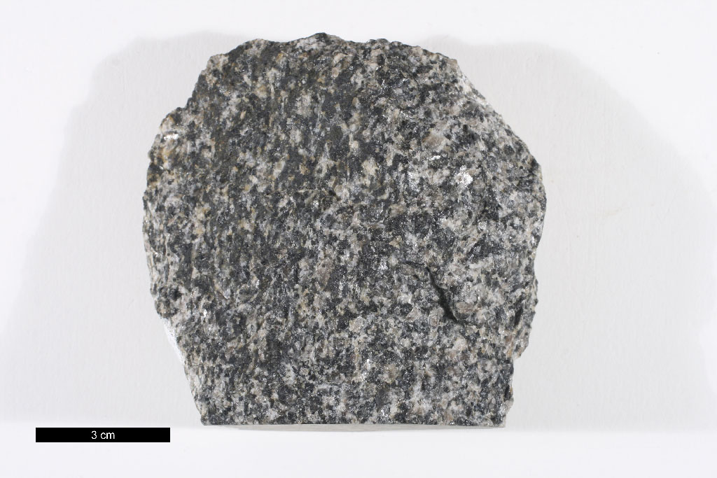 Bushveld Gabbronorite Hand Sample