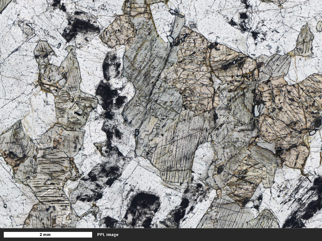 Bushveld Gabbronorite Thin Section