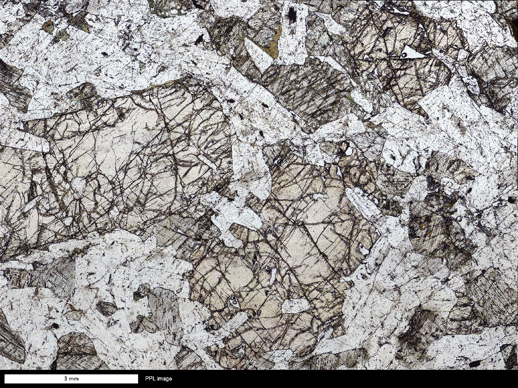 Bushveld Gabbronorite Thin Section