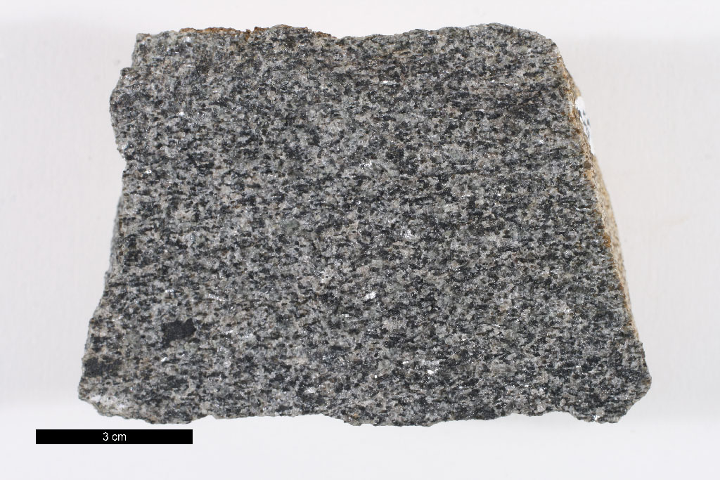 Bushveld Gabbronorite Hand Sample