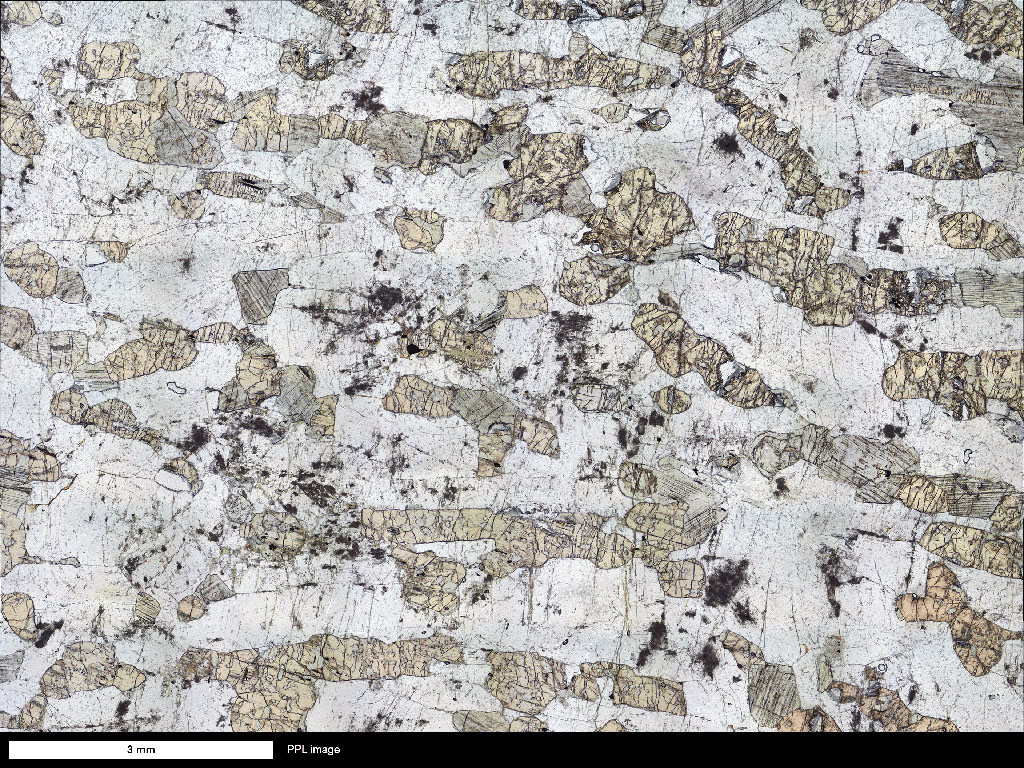 Bushveld Gabbronorite Thin Section