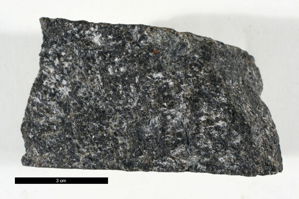 Bushveld Gabbronorite Hand Sample