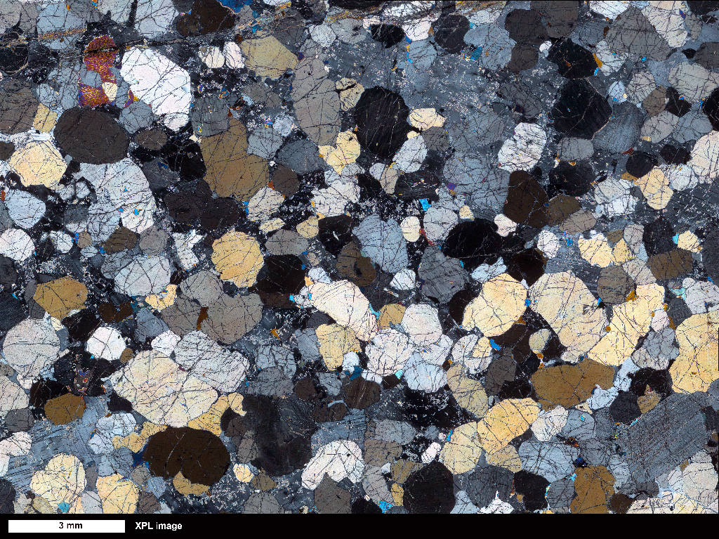 Gabbronorite Thin Section XPL