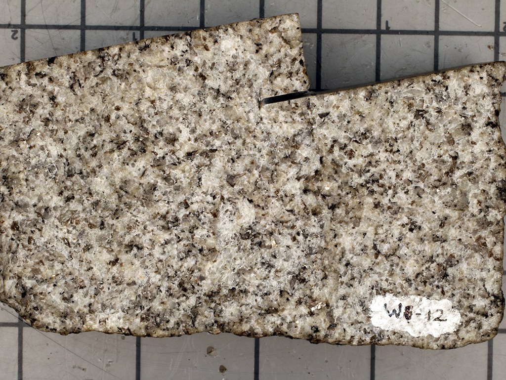 Granite Hand Sample