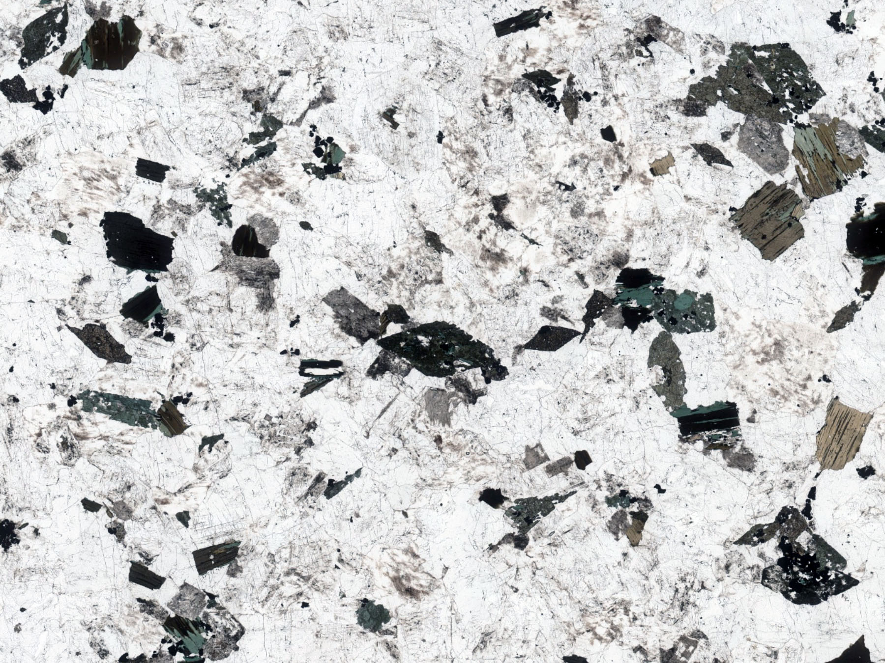 Granodiorite Thin Section