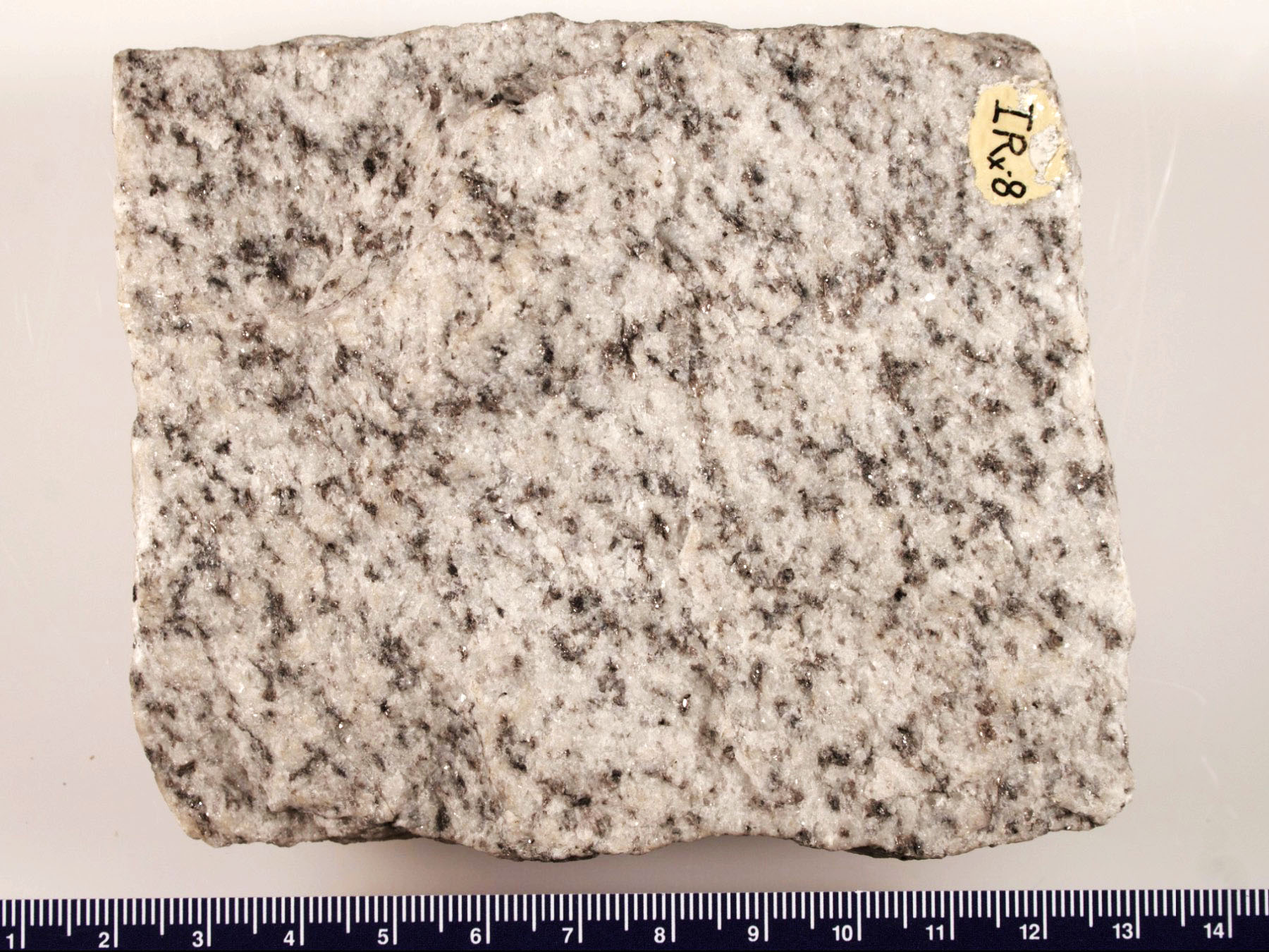 Granodiorite Hand Sample