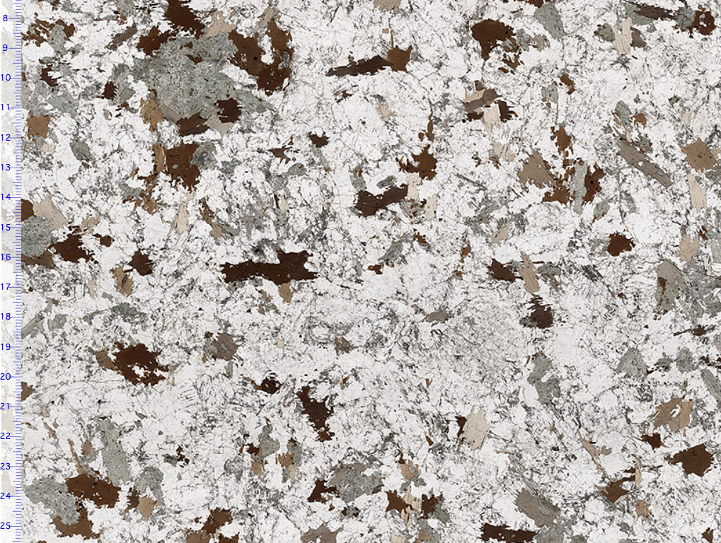 Granodiorite Thin Section