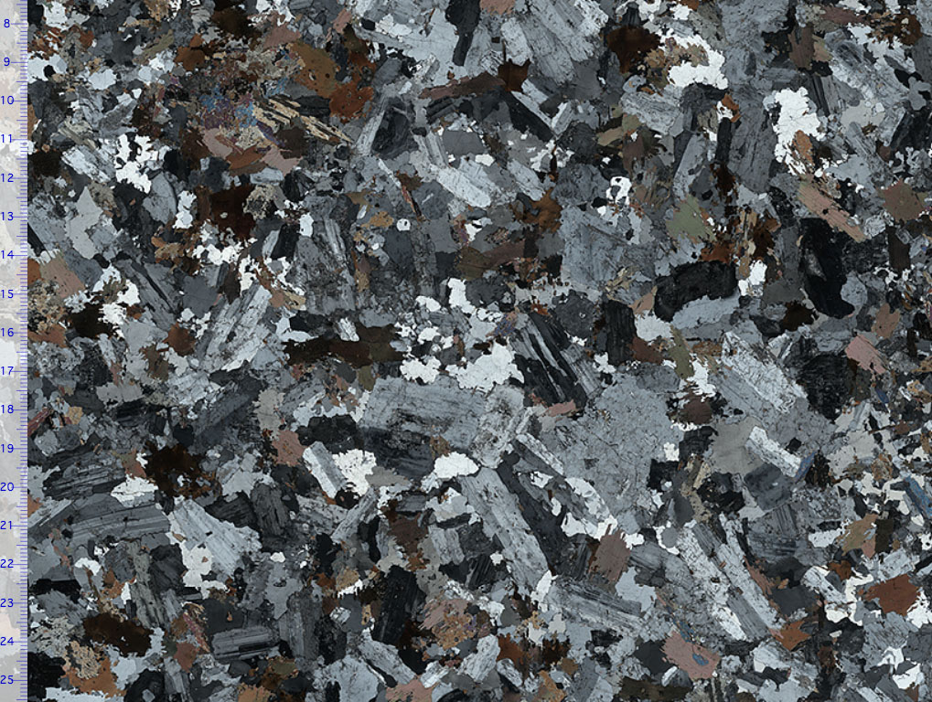 Granodiorite Thin Section