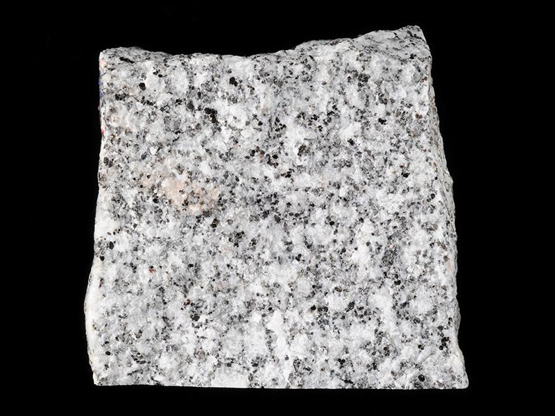 Granodiorite Hand Sample