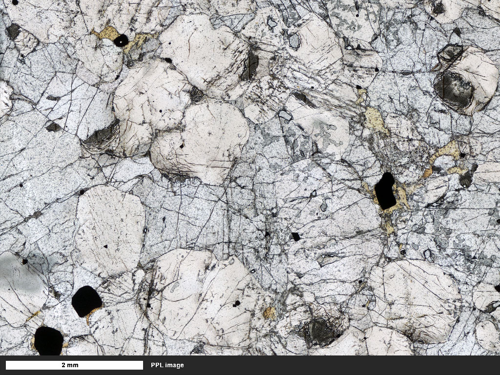 Harzburgite Thin Section