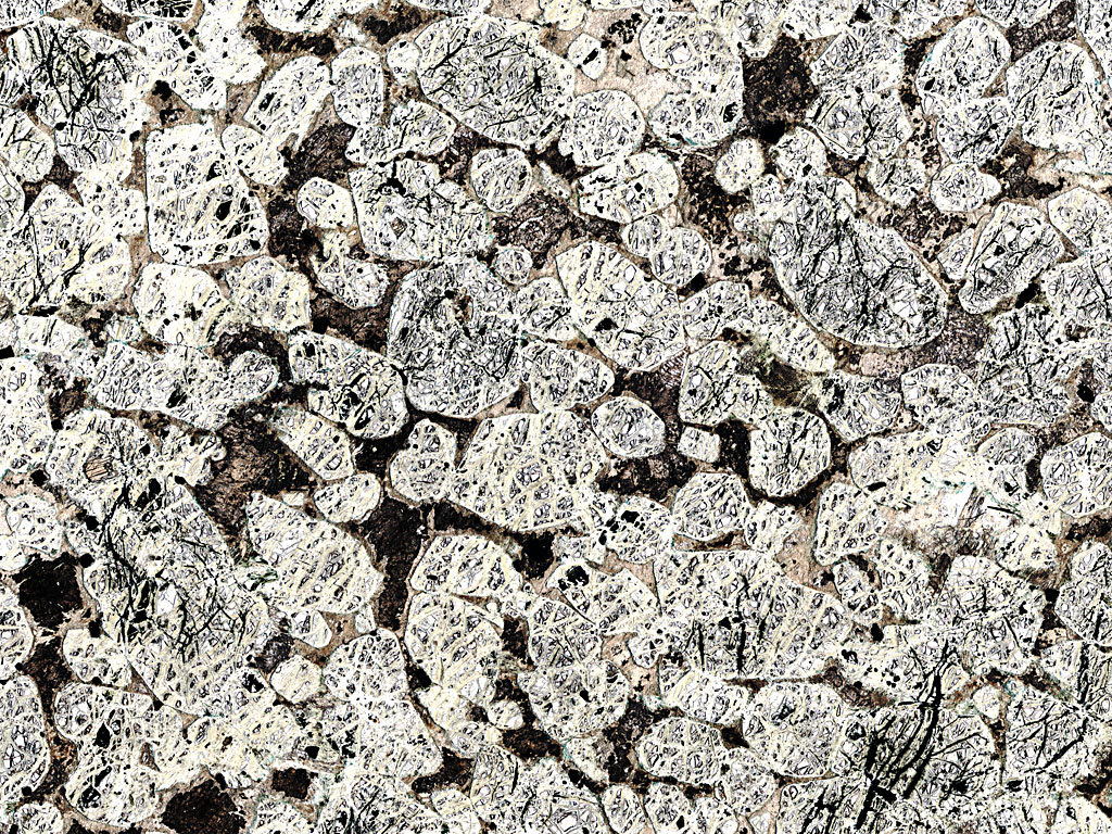 Harzburgite Thin Section