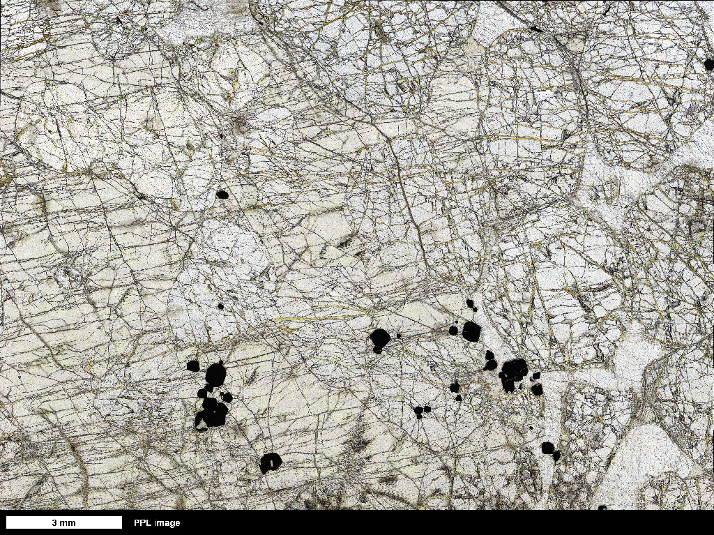 Harzburgite Thin Section