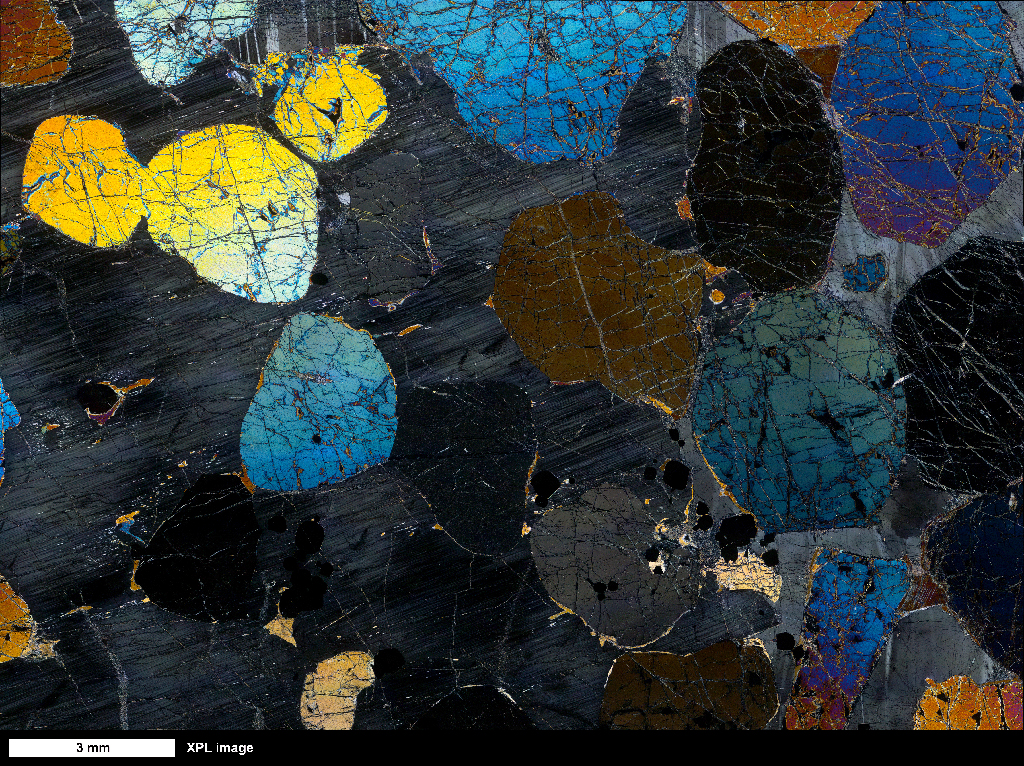 Harzburgite Thin Section