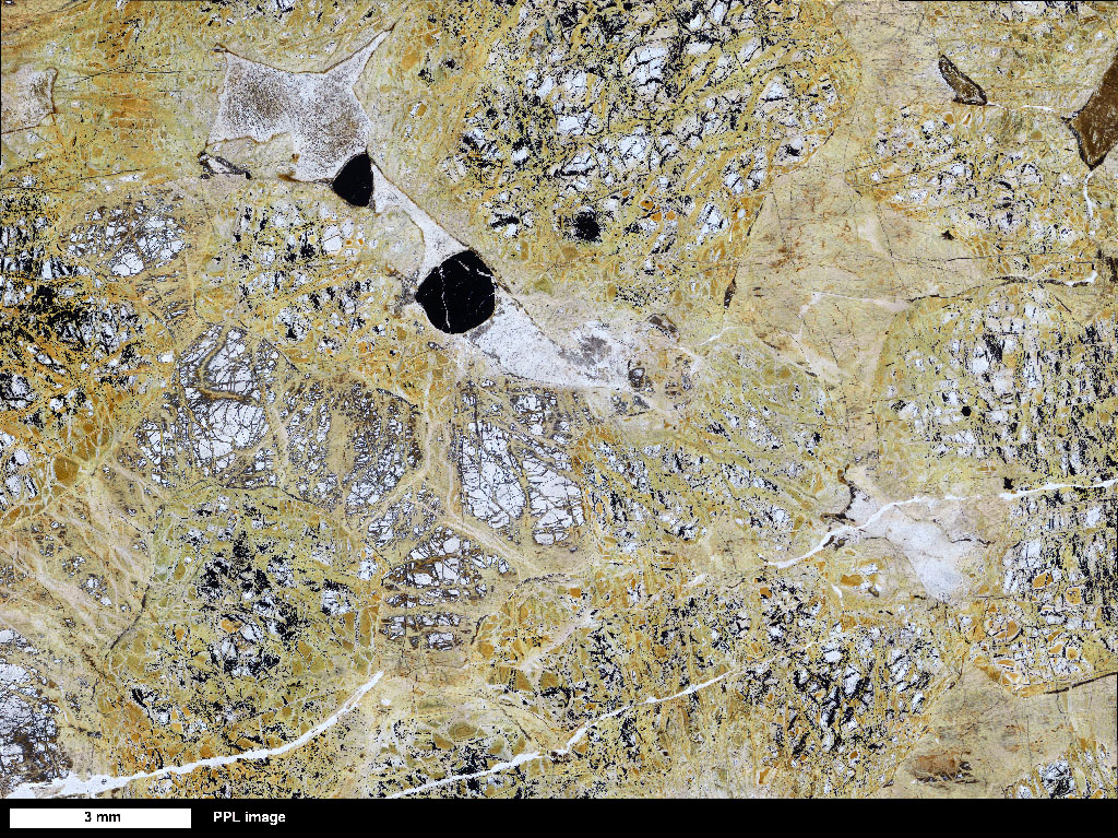 Harzburgite Thin Section