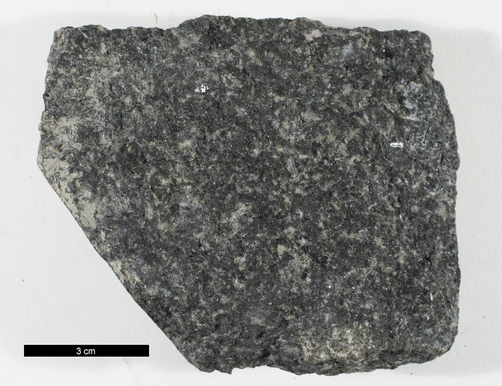 Hornblende Gabbro Hand Sample