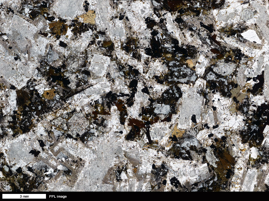 Hornblende Gabbro Thin Section