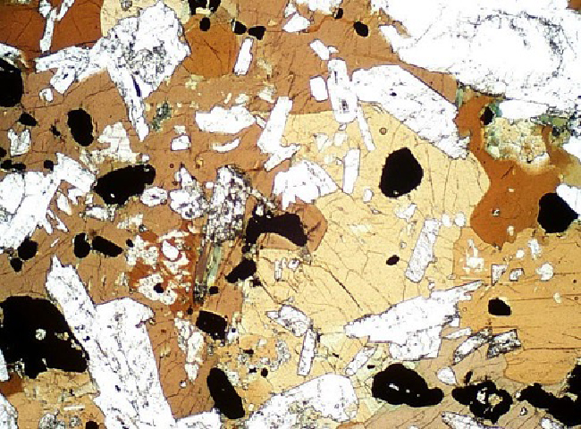 Hornblende Gabbro Thin Section