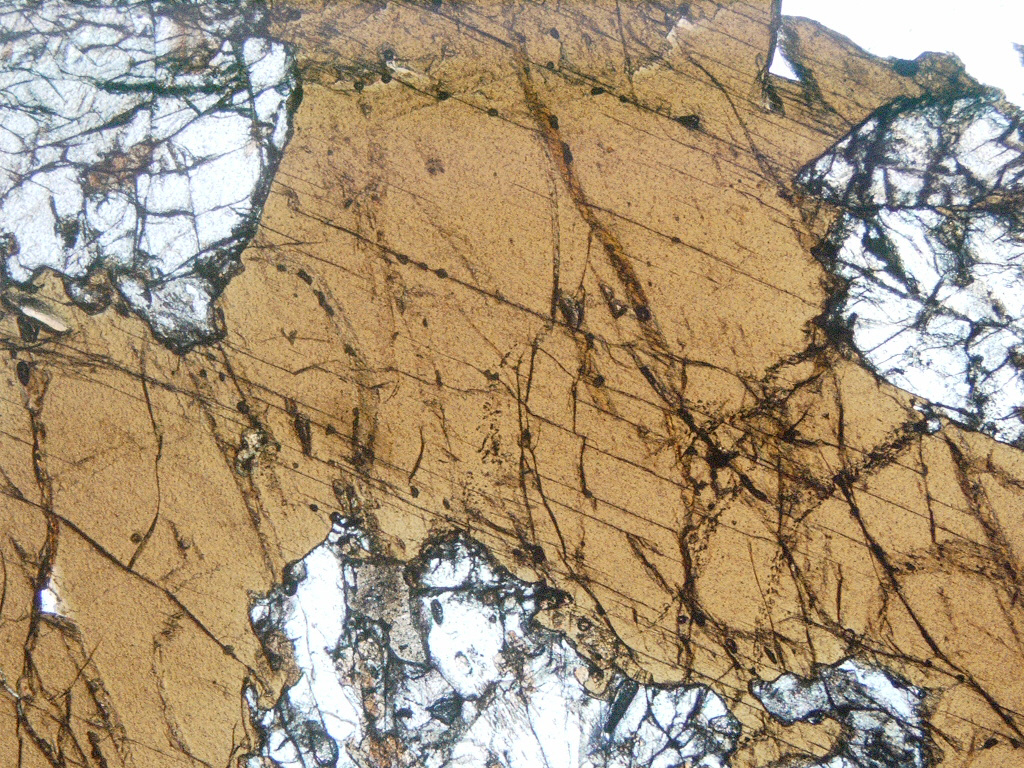 Hornblendite Thin Section