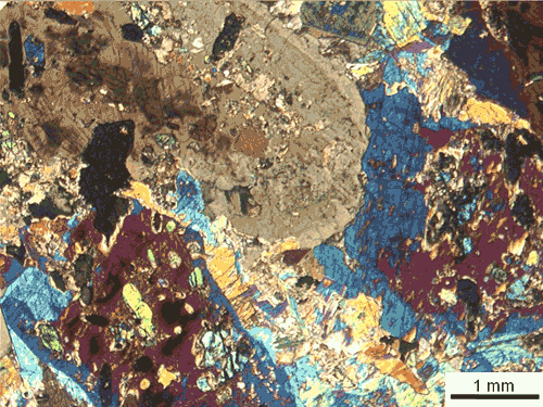 Hornblendite Thin Section