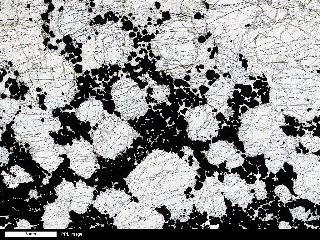 SIC-10 Thin Section