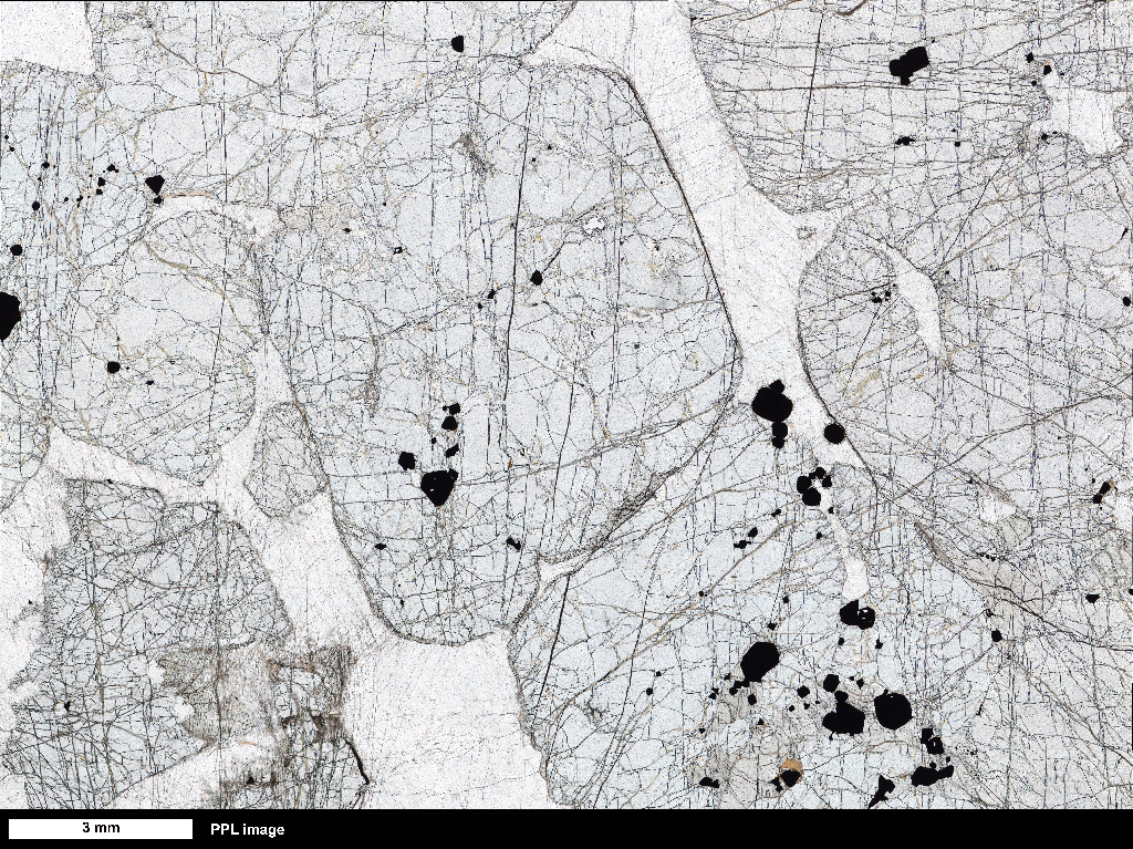 SIC-6 Thin Section