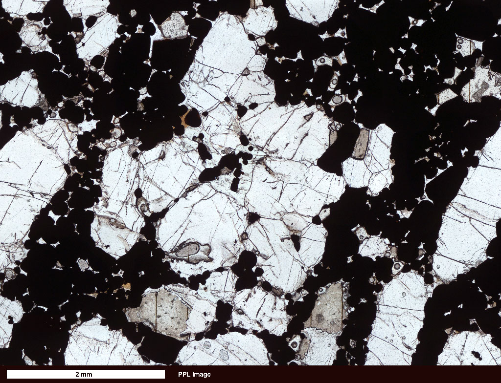 Bushveld Orthopyroxenite Thin Section