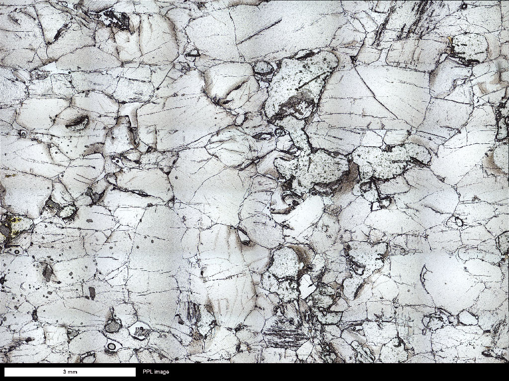 Bushveld Orthopyroxenite Thin Section