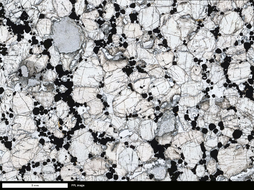 Bushveld Orthopyroxenite Thin Section