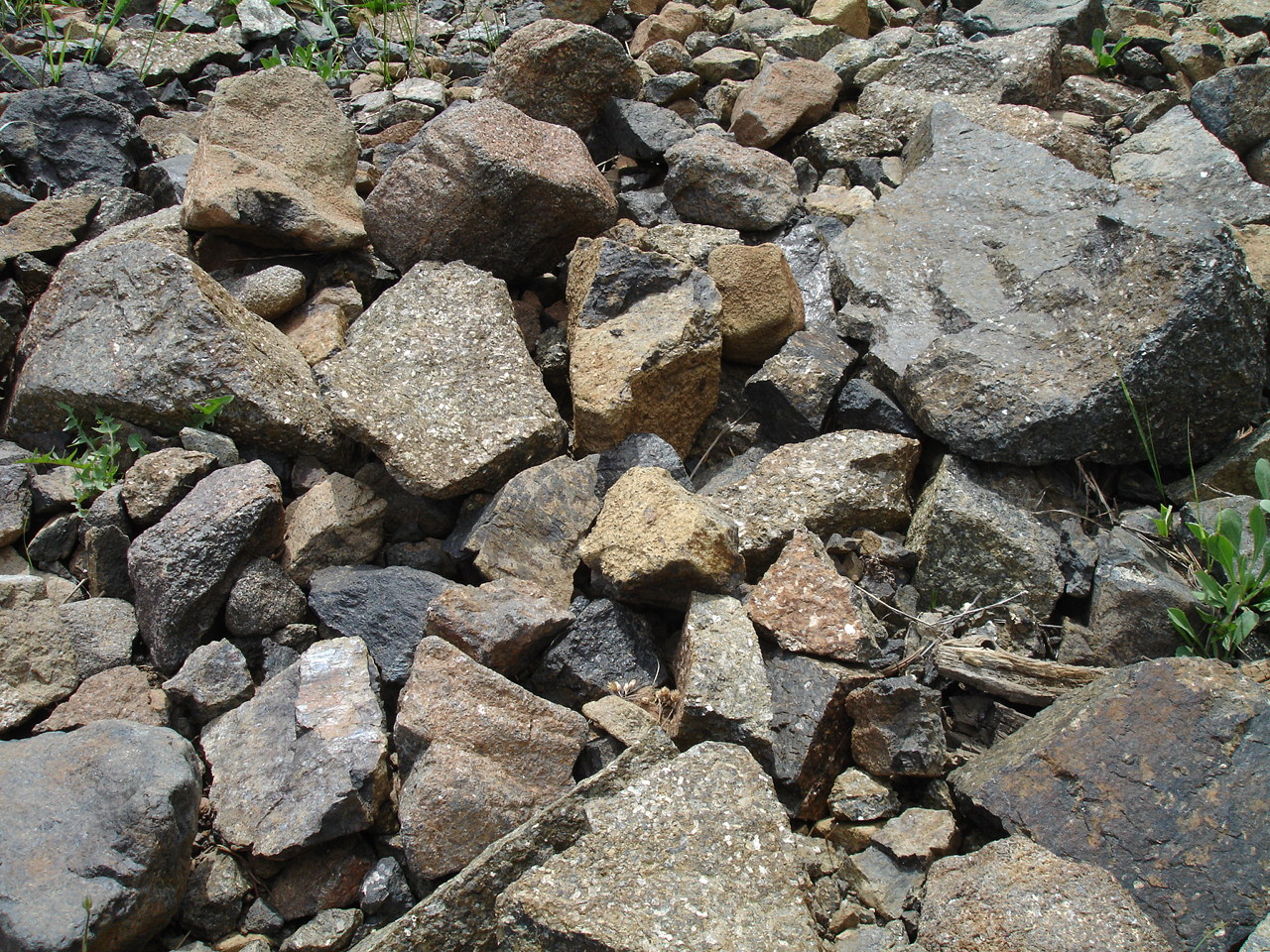 Orthopyroxenite Field Photo