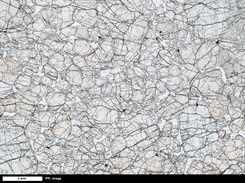 Bushveld Orthopyroxenite Thin Section