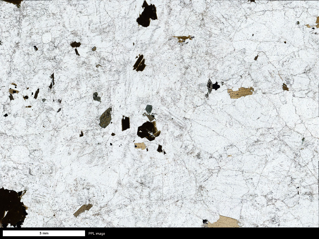 Quartz Monzonite Thin Section