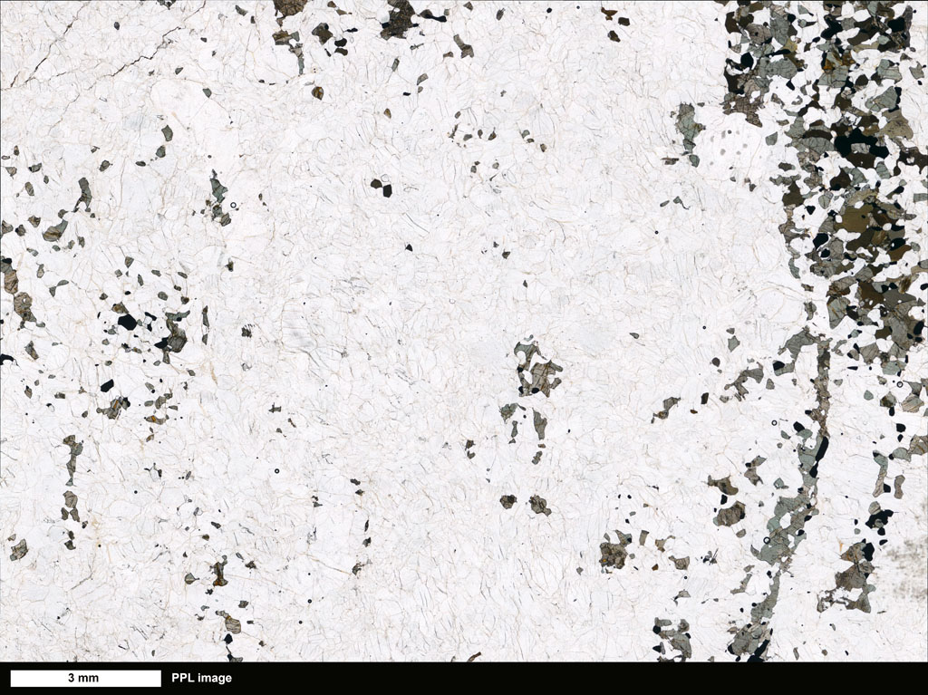 Quartz Monzonite Thin Section