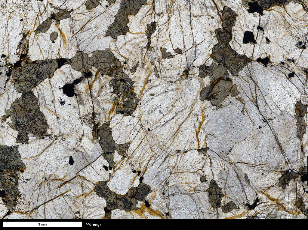 Ferrosyenite Thin Section