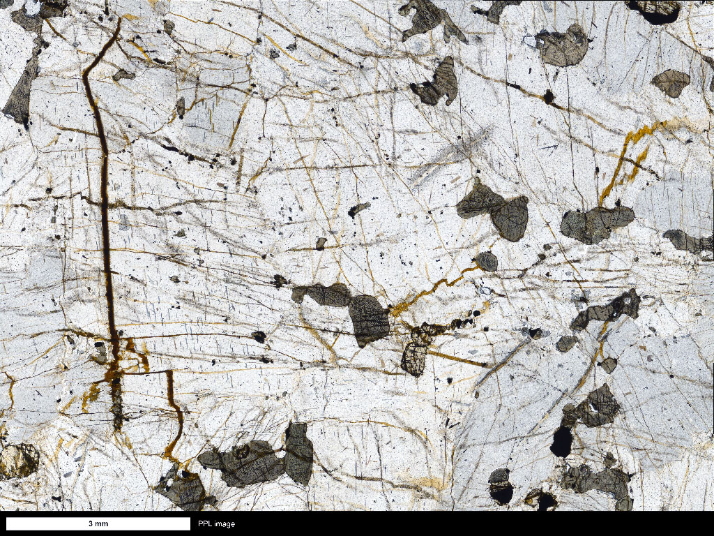 Ferrosyenite Thin Section