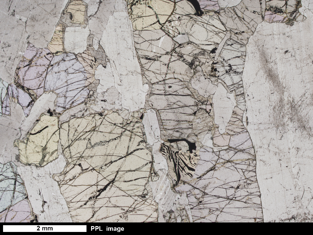 Troctolite Thin Section