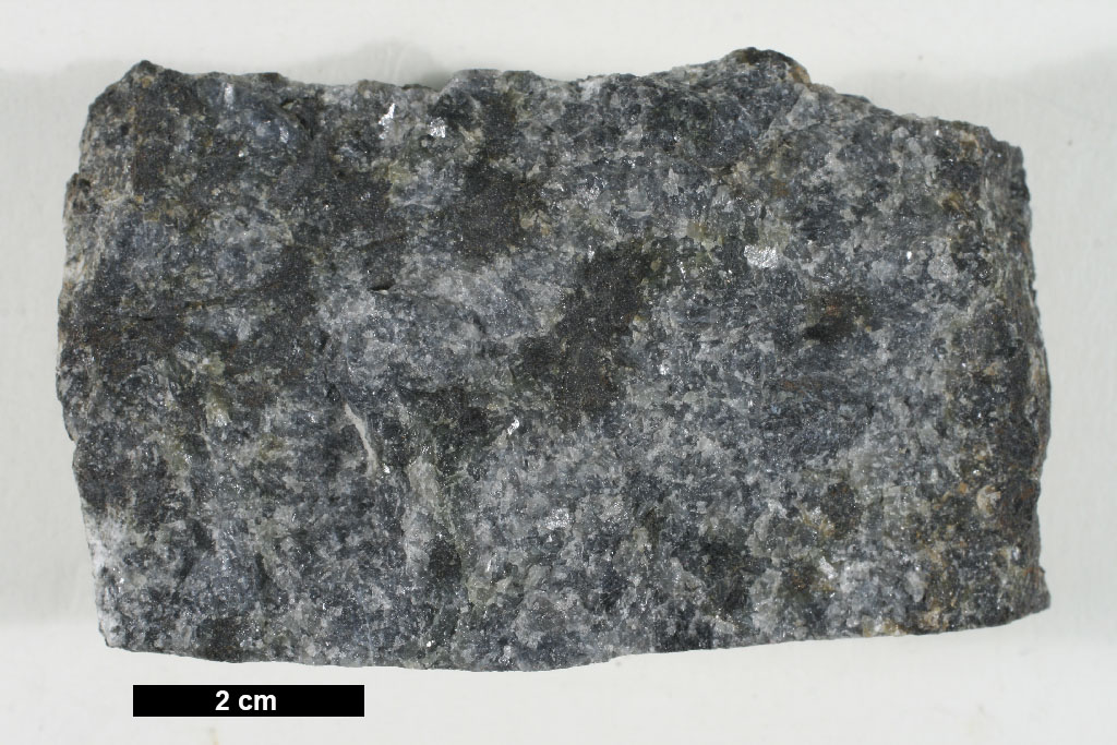 Troctolite Hand Sample