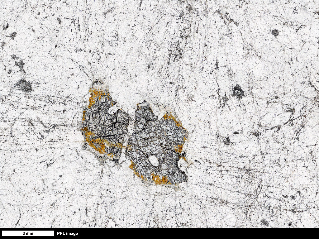 Troctolite Thin Section