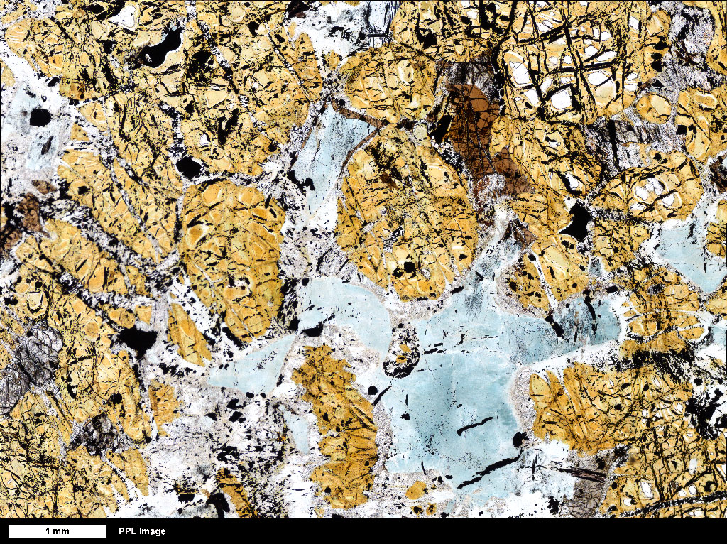 Wehrlite Thin Section