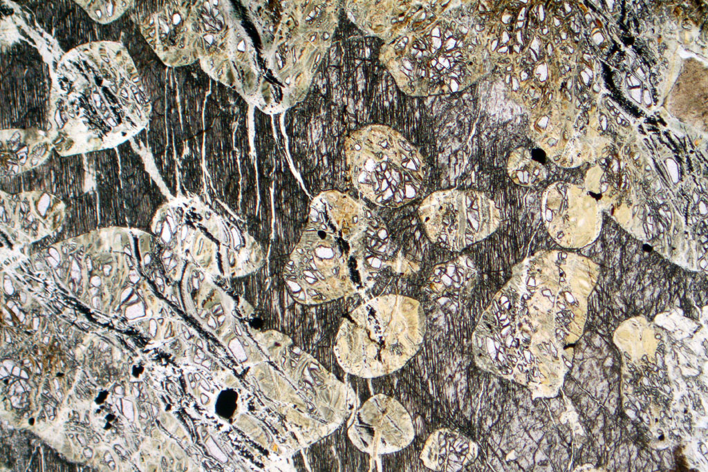 Wehrlite Thin Section