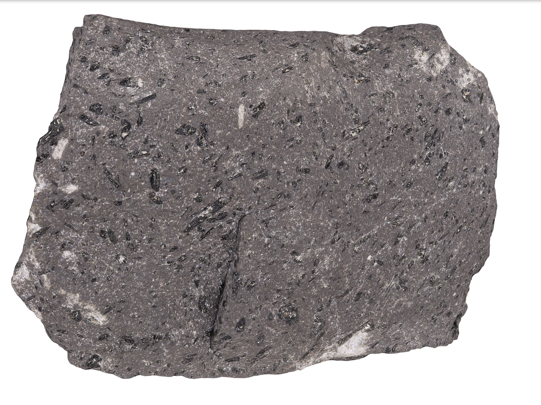Andesite Hand Sample
