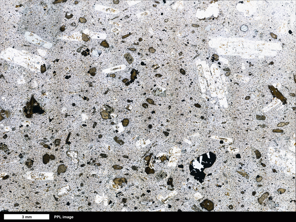 Andesite Thin Section