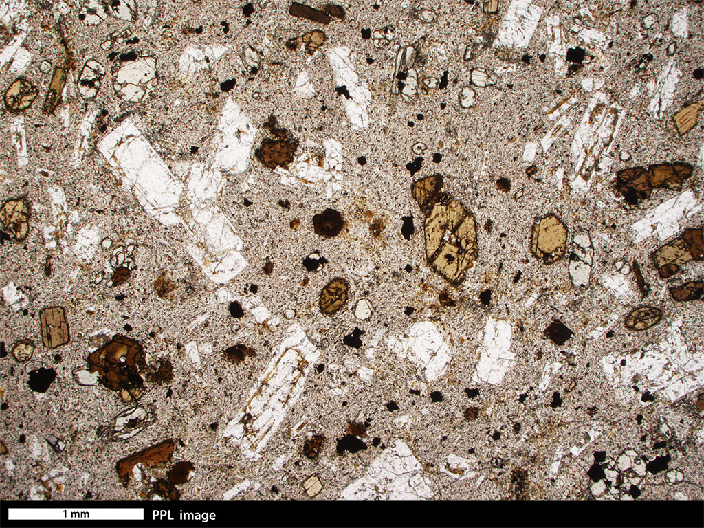 Andesite Thin Section