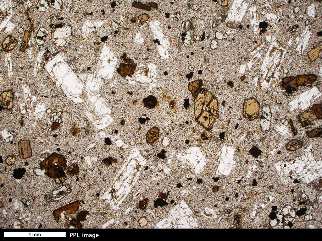 Andesite thin section