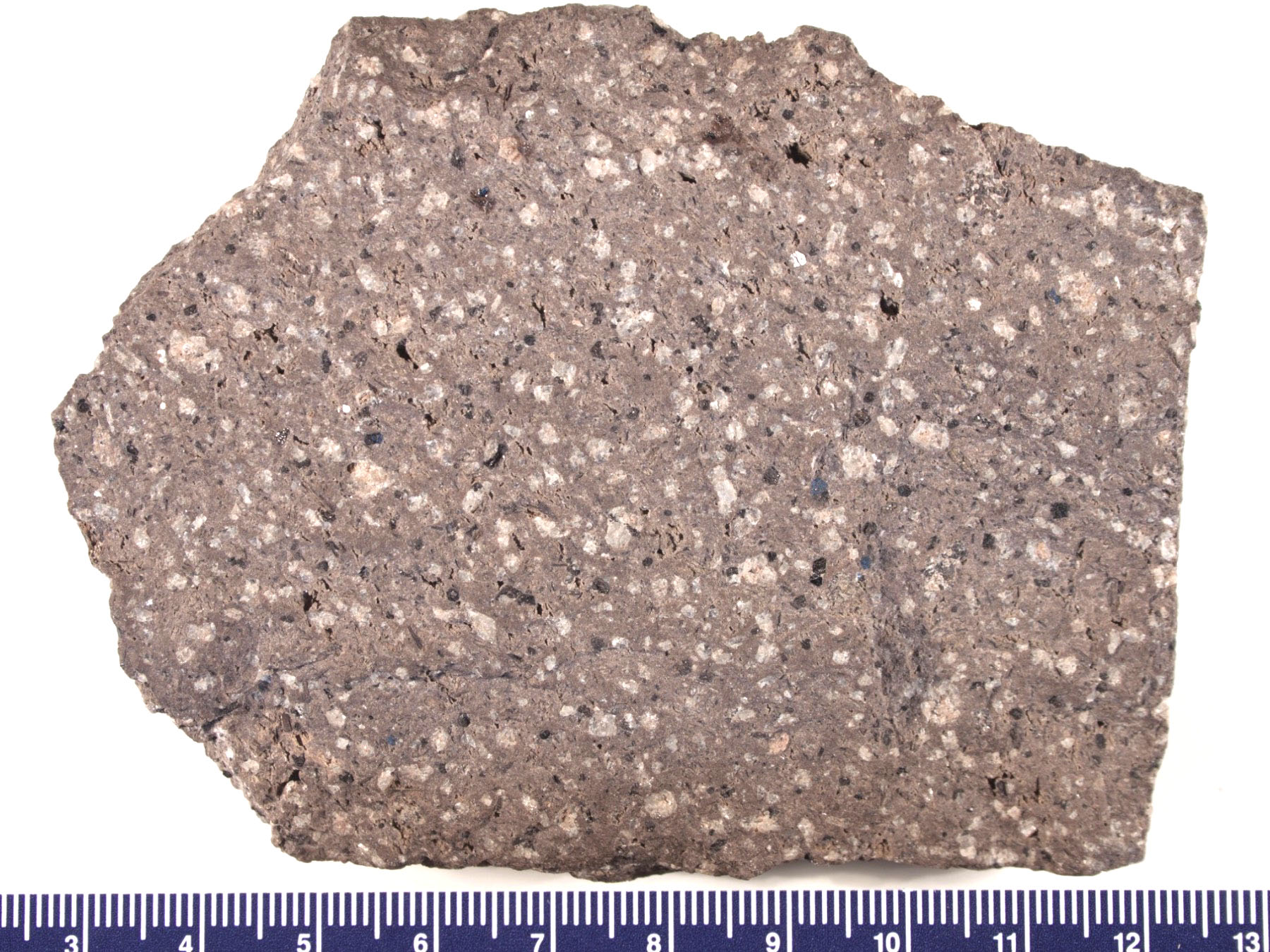 Andesite Hand Sample