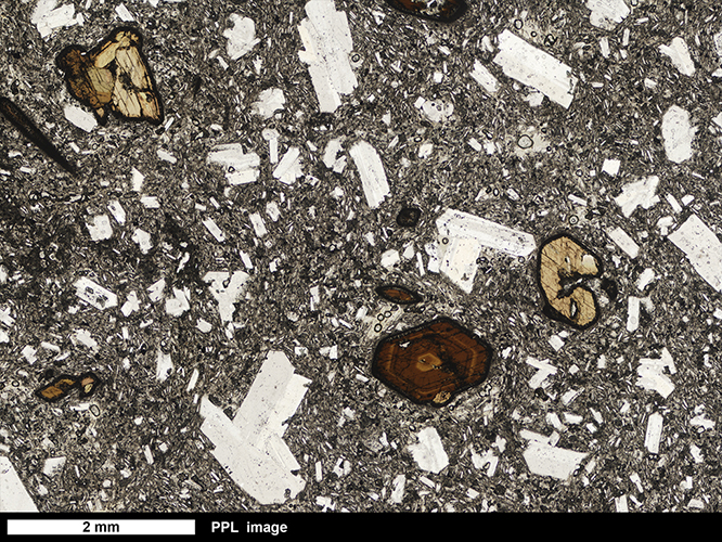 Andesite Thin Section