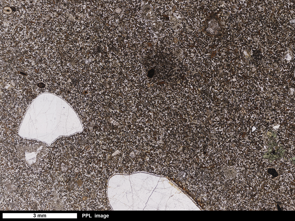 Latite Thin Section